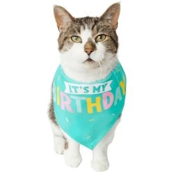 Frisco Happy Birthday Dog & Cat Crown & Frisco Dog & Cat Birthday Bandana -Pet Cat Supplies Shop 255523 PT4. AC SS1800 V1603716120