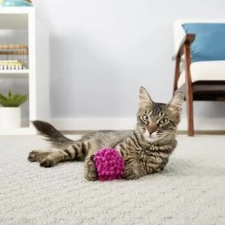 Frisco Moppy Ball Cat Toy With Catnip & Frisco Moppy Ball Cat Toy With Catnip -Pet Cat Supplies Shop 255585 PT4. AC SS1800 V1602691598