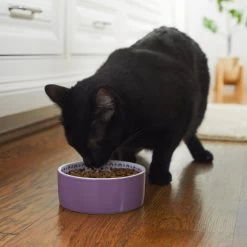 Frisco Kaleidoscope Pattern Non-skid Ceramic Dog & Cat Bowl -Pet Cat Supplies Shop 256090 PT2. AC SS1800 V1615311092