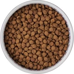 Frisco Kaleidoscope Pattern Non-skid Ceramic Dog & Cat Bowl -Pet Cat Supplies Shop 256090 PT5. AC SS1800 V1615312887