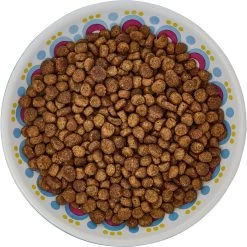 Frisco Kaleidoscope Pattern Non-skid Ceramic Cat Dish 13 Frisco Kaleidoscope Pattern Non-skid Ceramic Cat Dish -Pet Cat Supplies Shop 256092 PT5. AC SS1800 V1617042691