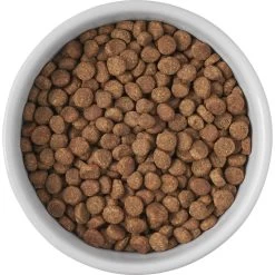 Frisco Cat Print Non-skid Elevated Ceramic Cat Bowl, Short -Pet Cat Supplies Shop 256096 PT4. AC SS1800 V1616522576