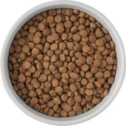 Frisco Cat Print Non-Skid Elevated Ceramic Cat Bowl, Tall -Pet Cat Supplies Shop 256099 PT4. AC SS1800 V1616522538