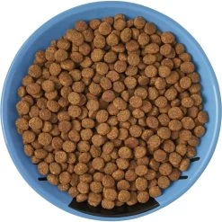 Frisco Cat Face Non-skid Ceramic Cat Dish, Blue -Pet Cat Supplies Shop 256101 PT5. AC SS1800 V1615321282