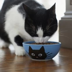Frisco Cat Face Non-skid Ceramic Cat Bowl, Blue 7 Frisco Cat Face Non-skid Ceramic Cat Bowl, Blue -Pet Cat Supplies Shop 256103 PT4. AC SS1800 V1617997004