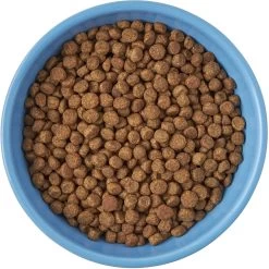 Frisco Cat Face Non-skid Ceramic Cat Bowl, Blue 8 Frisco Cat Face Non-skid Ceramic Cat Bowl, Blue -Pet Cat Supplies Shop 256103 PT5. AC SS1800 V1615312900