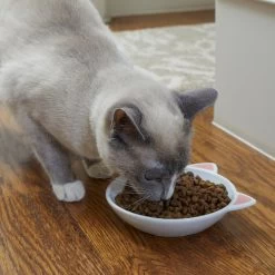 Frisco Cat Face Non-skid Ceramic Cat Dish -Pet Cat Supplies Shop 256105 PT2. AC SS1800 V1615310882