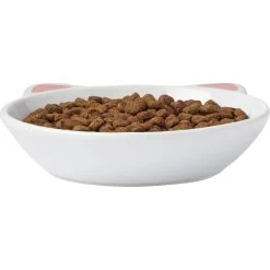 Frisco Cat Face Non-skid Ceramic Cat Dish -Pet Cat Supplies Shop 256105 PT3. AC SS1800 V1615321286
