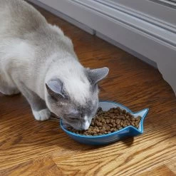 Frisco Fish Shaped Non-skid Ceramic Cat Dish -Pet Cat Supplies Shop 256109 PT3. AC SS1800 V1617196297