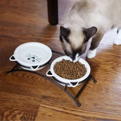 Frisco Cat Face Non-skid Elevated Double Ceramic Cat Bowl -Pet Cat Supplies Shop 256113 PT2. AC SS1800 V1616522604