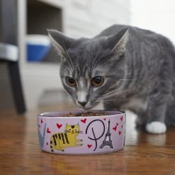 Frisco Paris Non-skid Ceramic Cat Dish -Pet Cat Supplies Shop 256117 PT2. AC SS1800 V1615311397