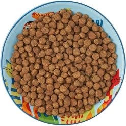 Frisco New York Non-skid Ceramic Cat Dish -Pet Cat Supplies Shop 256119 PT6. AC SS1800 V1617196905