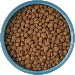 Frisco New York Non-skid Ceramic Cat Bowl -Pet Cat Supplies Shop 256121 PT5. AC SS1800 V1615311387