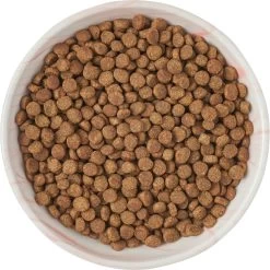 Frisco Marble Design Non-skid Ceramic Cat Bowl -Pet Cat Supplies Shop 256125 PT5. AC SS1800 V1615311382