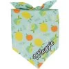 Frisco Citrus Personalized Dog & Cat Bandana -Pet Cat Supplies Shop 258758 MAIN. AC SS1800 V1619558872