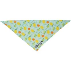 Frisco Citrus Personalized Dog & Cat Bandana -Pet Cat Supplies Shop 258758 PT3. AC SS1800 V1619559797