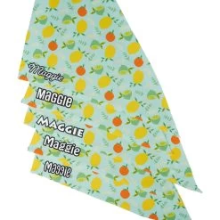 Frisco Citrus Personalized Dog & Cat Bandana -Pet Cat Supplies Shop 258758 PT4. AC SS1800 V1619558899