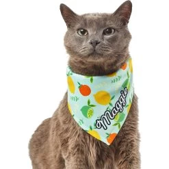 Frisco Citrus Personalized Dog & Cat Bandana -Pet Cat Supplies Shop 258758 PT7. AC SS1800 V1619560408