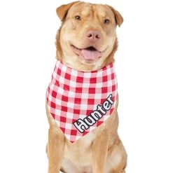Frisco Gingham Personalized Dog & Cat Bandana -Pet Cat Supplies Shop 258775 PT6. AC SS1800 V1619558303