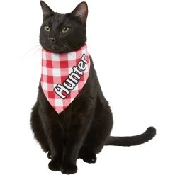 Frisco Gingham Personalized Dog & Cat Bandana -Pet Cat Supplies Shop 258775 PT7. AC SS1800 V1619558565