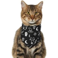 Frisco Glow In The Dark Mystical Print Dog & Cat Bandana -Pet Cat Supplies Shop 261218 PT2. AC SS1800 V1633086982