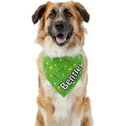 Frisco Golf Personalized Dog & Cat Bandana -Pet Cat Supplies Shop 263017 PT6. AC SS1800 V1619557636