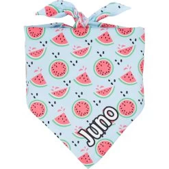 Frisco Watermelons Personalized Dog & Cat Bandana