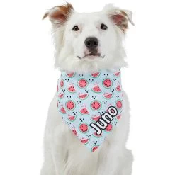 Frisco Watermelons Personalized Dog & Cat Bandana 17 Frisco Watermelons Personalized Dog & Cat Bandana -Pet Cat Supplies Shop 267458 PT6. AC SS1800 V1632432415