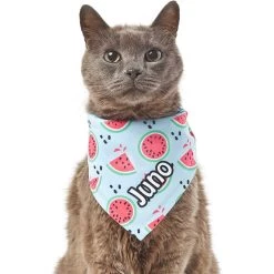 Frisco Watermelons Personalized Dog & Cat Bandana 18 Frisco Watermelons Personalized Dog & Cat Bandana -Pet Cat Supplies Shop 267458 PT7. AC SS1800 V1632432684