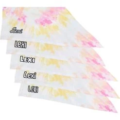 Frisco Tiedye Personalized Dog & Cat Bandana 15 Frisco Tiedye Personalized Dog & Cat Bandana -Pet Cat Supplies Shop 267482 PT4. AC SS1800 V1632416499