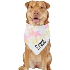 Frisco Tiedye Personalized Dog & Cat Bandana 17 Frisco Tiedye Personalized Dog & Cat Bandana -Pet Cat Supplies Shop 267482 PT6. AC SS1800 V1632428490
