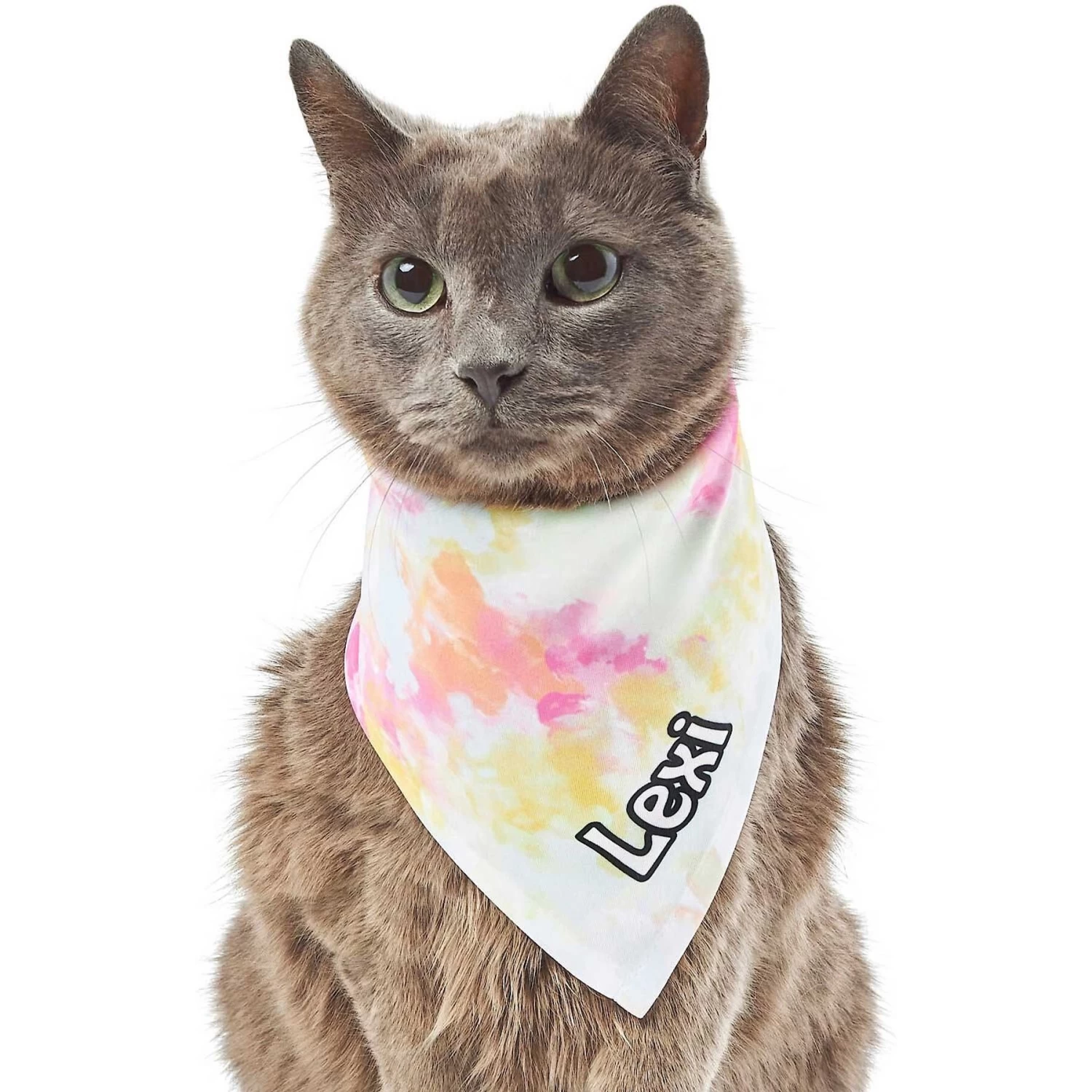 Frisco Tiedye Personalized Dog & Cat Bandana 10 Frisco Tiedye Personalized Dog & Cat Bandana - Image 8