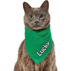 Frisco Solid Color Personalized Dog & Cat Bandana -Pet Cat Supplies Shop 267489 PT7. AC SS1800 V1632431774