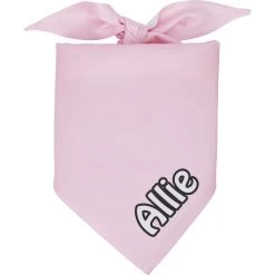 Frisco Solid Pastel Personalized Dog & Cat Bandana