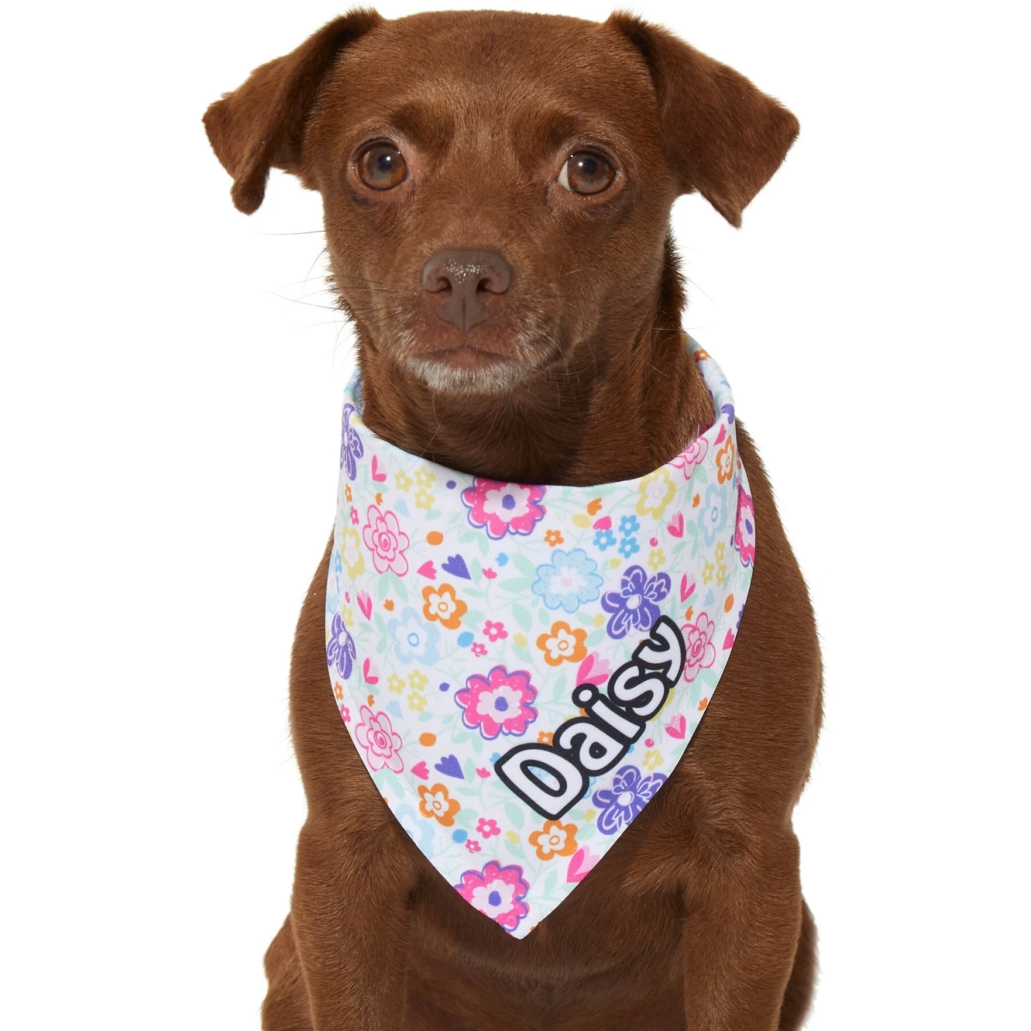 Frisco Bright Floral Personalized Dog & Cat Bandana 9 Frisco Bright Floral Personalized Dog & Cat Bandana - Image 7