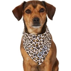 Frisco Leopard Print Personalized Dog & Cat Bandana -Pet Cat Supplies Shop 267543 PT7. AC SS1800 V1623164552
