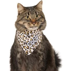 Frisco Leopard Print Personalized Dog & Cat Bandana -Pet Cat Supplies Shop 267543 PT8. AC SS1800 V1623164342
