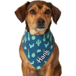 Frisco Cactus Personalized Dog & Cat Bandana -Pet Cat Supplies Shop 267551 PT7. AC SS1800 V1623164614