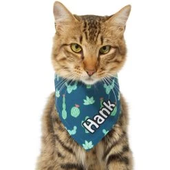Frisco Cactus Personalized Dog & Cat Bandana -Pet Cat Supplies Shop 267551 PT8. AC SS1800 V1623164657