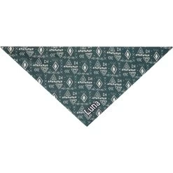 Frisco Boho Geo Personalized Dog & Cat Bandana 13 Frisco Boho Geo Personalized Dog & Cat Bandana -Pet Cat Supplies Shop 267559 PT3. AC SS1800 V1623094369