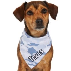 Frisco Gray Camo Personalized Dog & Cat Bandana -Pet Cat Supplies Shop 267571 PT7. AC SS1800 V1623164679