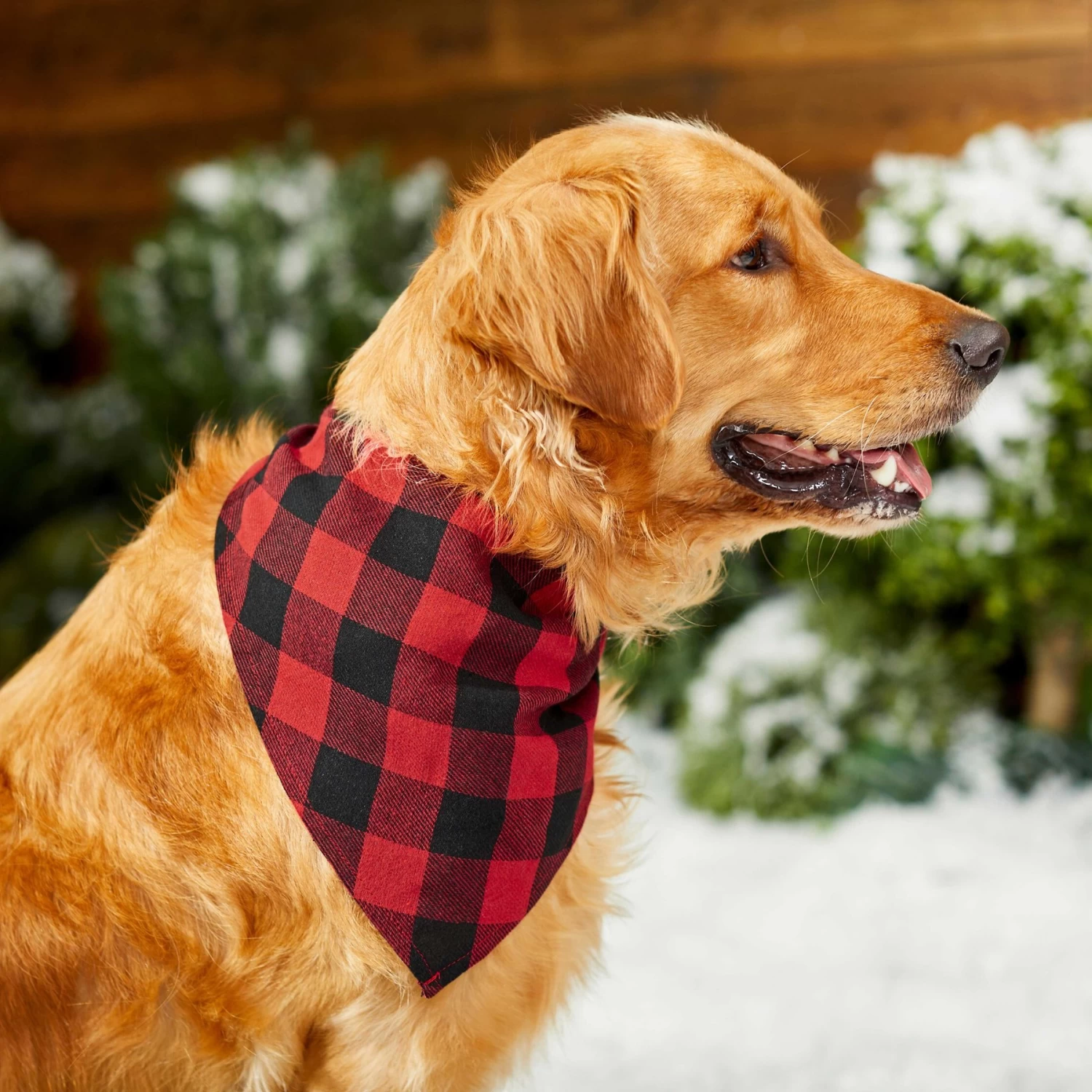Red Buffalo Plaid Dog & Cat Bandana 8 Red Buffalo Plaid Dog & Cat Bandana - Image 6