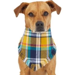 Frisco Blue/Yellow Plaid Dog & Cat Flannel Bandana -Pet Cat Supplies Shop 267901 PT2. AC SS1800 V1637717796