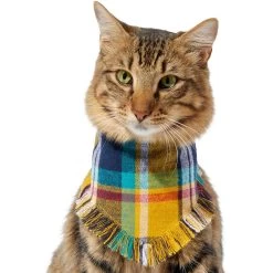 Frisco Blue/Yellow Plaid Dog & Cat Flannel Bandana -Pet Cat Supplies Shop 267901 PT3. AC SS1800 V1637677287