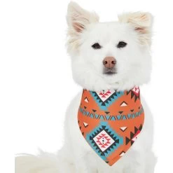 Frisco Southwest Dog & Cat Bandana -Pet Cat Supplies Shop 267904 PT2. AC SS1800 V1637708793