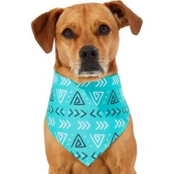 Frisco Geometric Dog & Cat Bandana -Pet Cat Supplies Shop 267907 PT2. AC SS1800 V1637653589