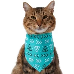 Frisco Geometric Dog & Cat Bandana -Pet Cat Supplies Shop 267907 PT3. AC SS1800 V1637678544