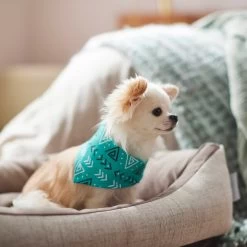 Frisco Geometric Dog & Cat Bandana -Pet Cat Supplies Shop 267907 PT5. AC SS1800 V1637652153