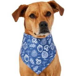 Frisco Fall Vibes Dog & Cat Bandana -Pet Cat Supplies Shop 267913 PT2. AC SS1800 V1637722647