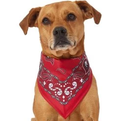 Frisco Red Paisley Dog & Cat Bandana -Pet Cat Supplies Shop 267919 PT2. AC SS1800 V1637669854